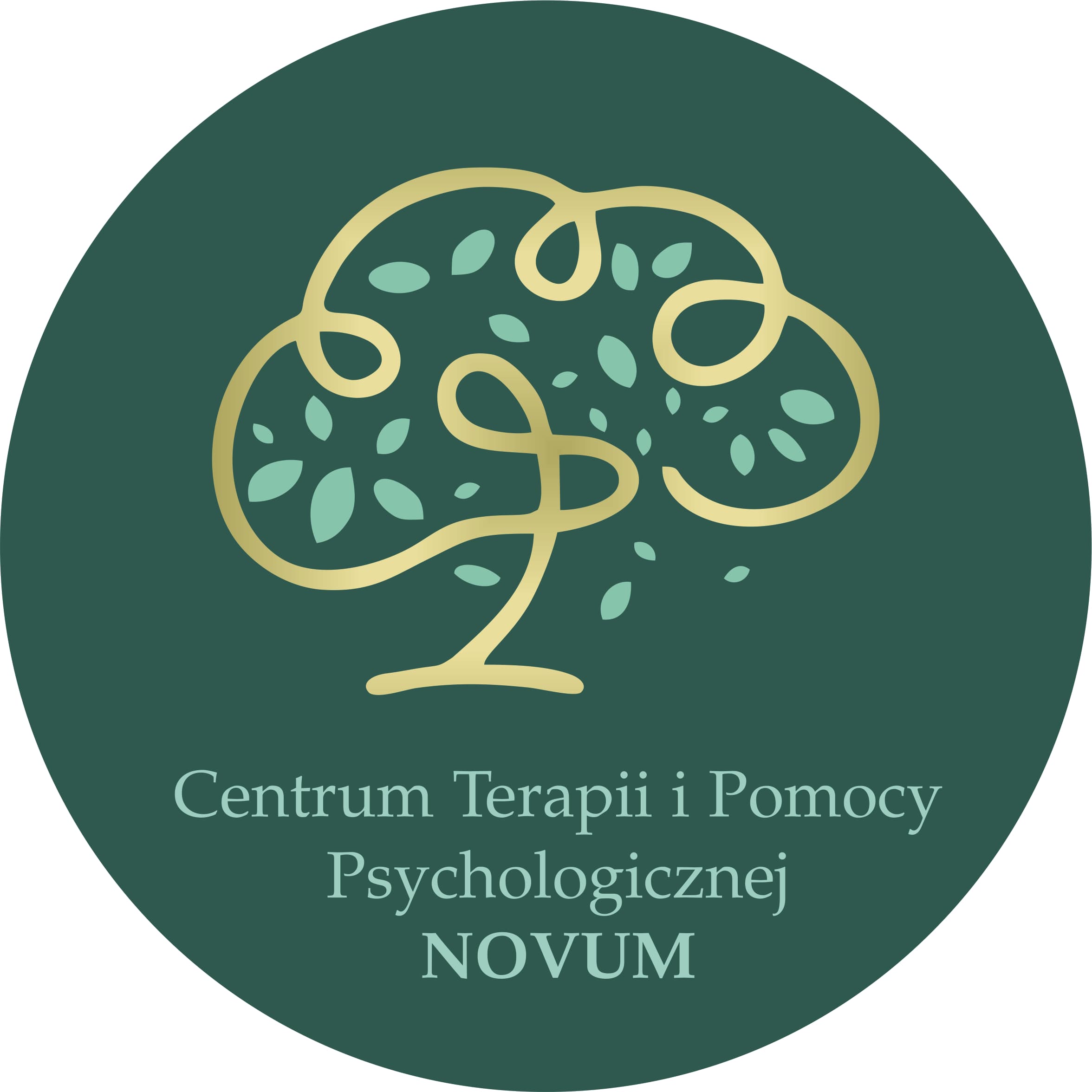 Logo NOVUM